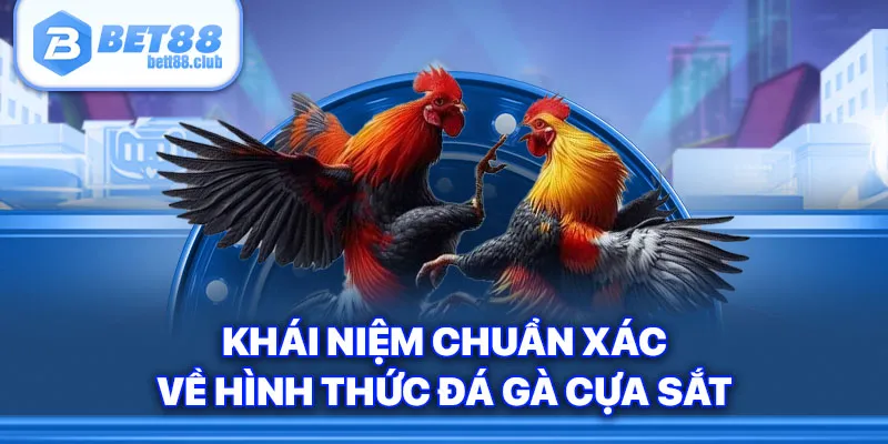 Khái niệm chuẩn xác về hình thức đá gà cựa sắt