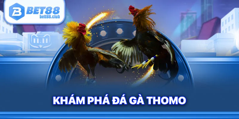 Khám phá đá gà Thomo