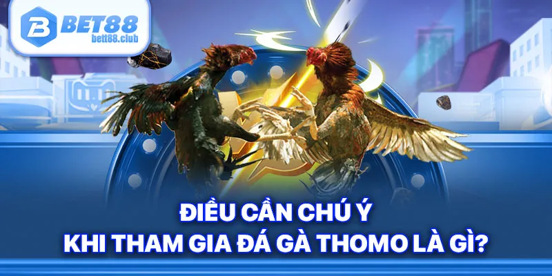 Điều cần chú ý khi tham gia đá gà Thomo là gì?