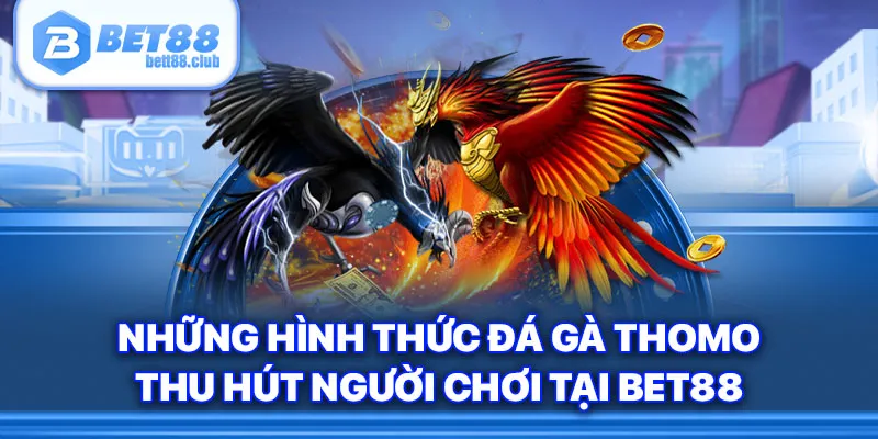 Những hình thức đá gà Thomo thu hút người chơi tại Bet88